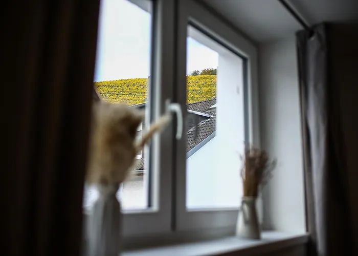 Apartment Lume26 Koblenz (Rhineland-Palatinate)